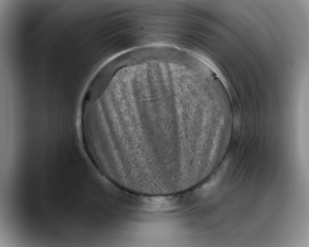 X0000088431149200706121446