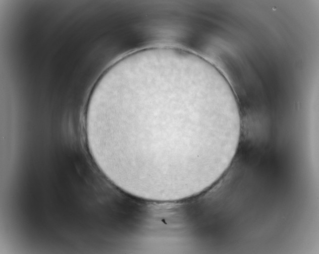 X0000088431150200706121446