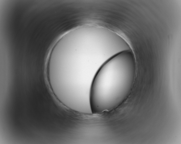 X0000088431152200706121446