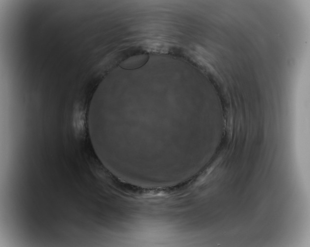 X0000088431154200706121445