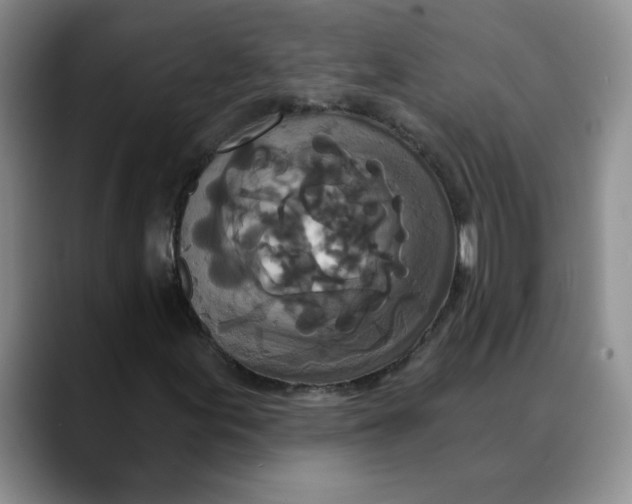 X0000088431155200706121445