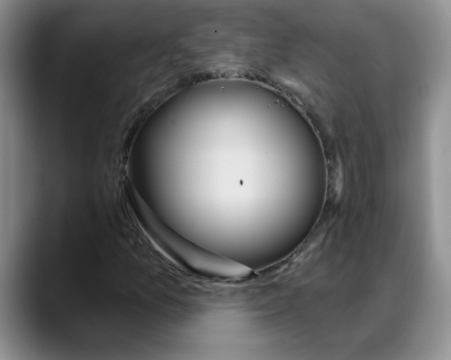 X0000088431157200706121445