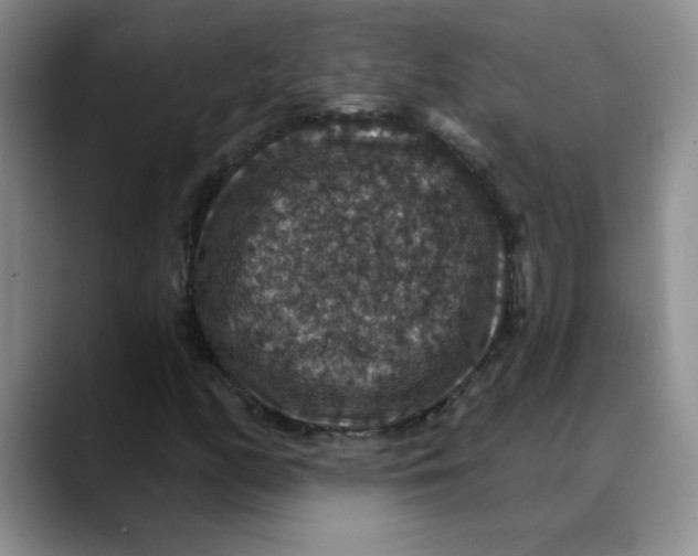 X0000088431158200706121445