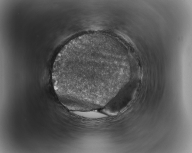 X0000088431160200706121445