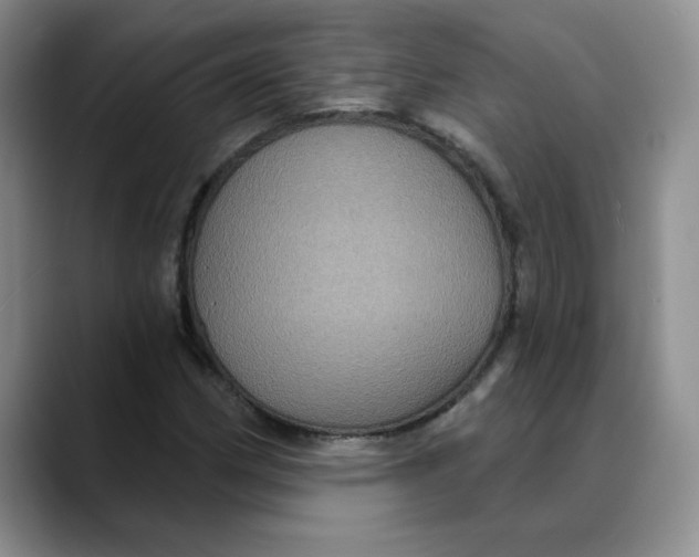 X0000088431162200706121445