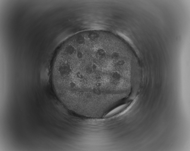 X0000088431163200706121445