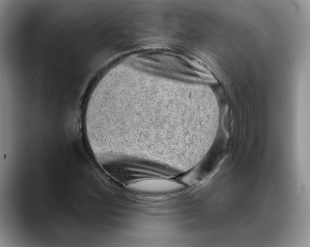 X0000088431164200706121445