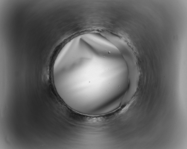 X0000088431165200706121445