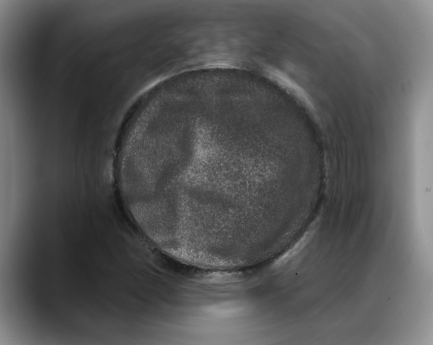 X0000088431166200706121445