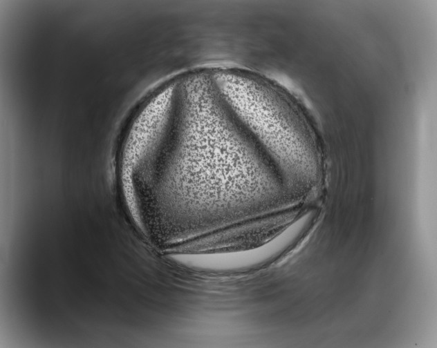 X0000088431167200706121445