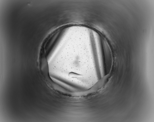 X0000088431168200706121445