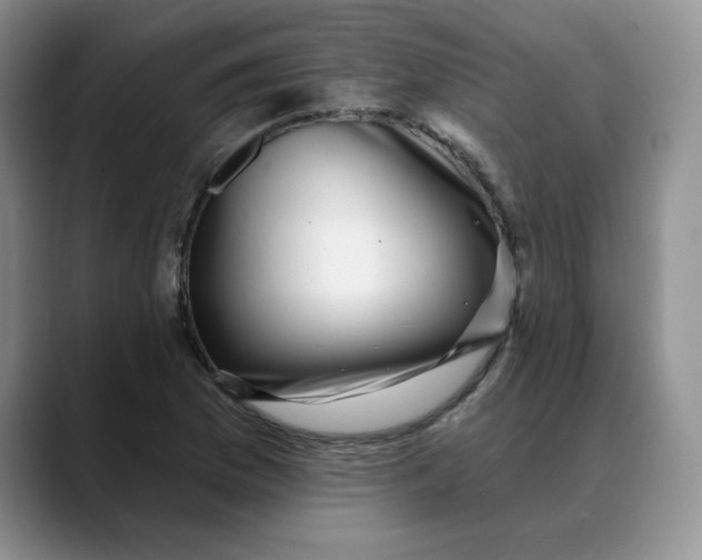 X0000088431169200706121445