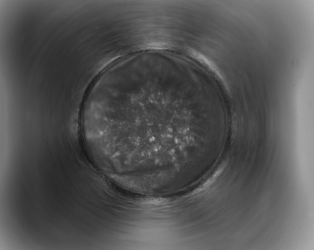 X0000088431170200706121445