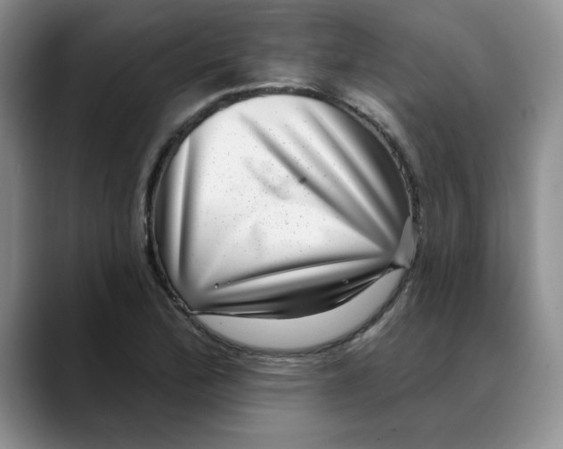 X0000088431172200706121445