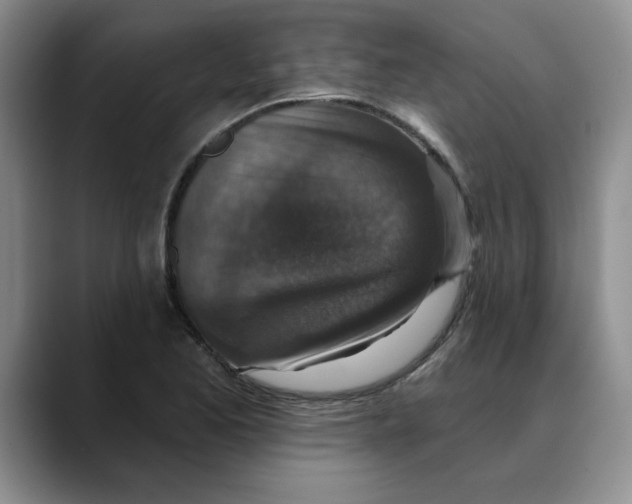 X0000088431173200706121445