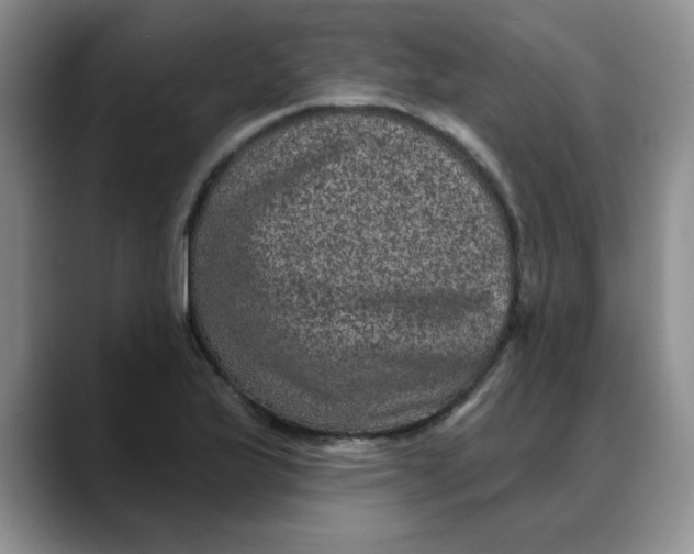 X0000088431175200706121445