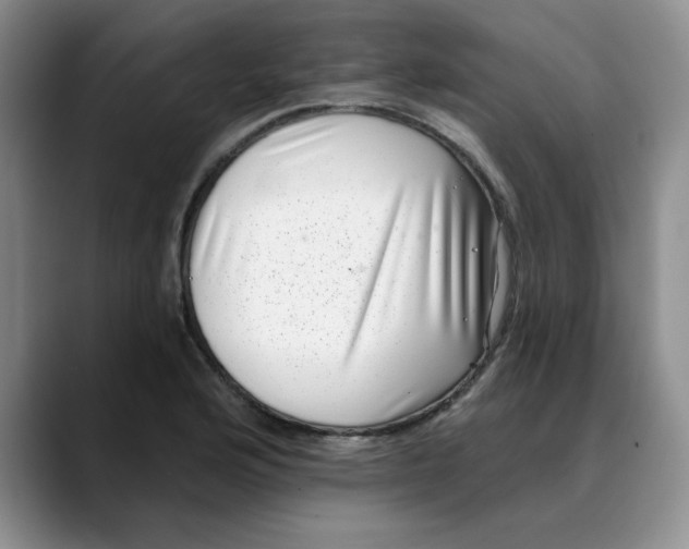 X0000088431176200706121445