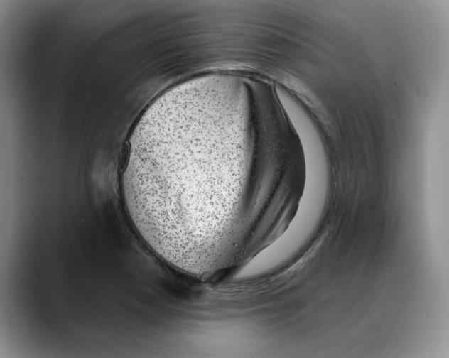 X0000088431177200706121445