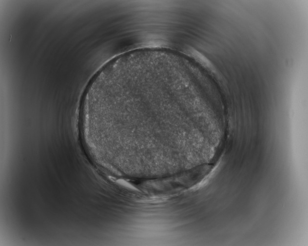 X0000088431178200706121445