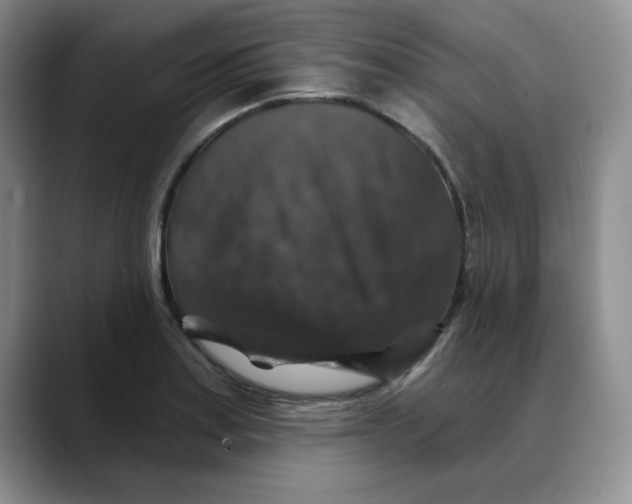 X0000088431179200706121445