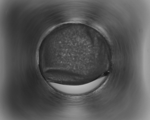 X0000088431180200706121445