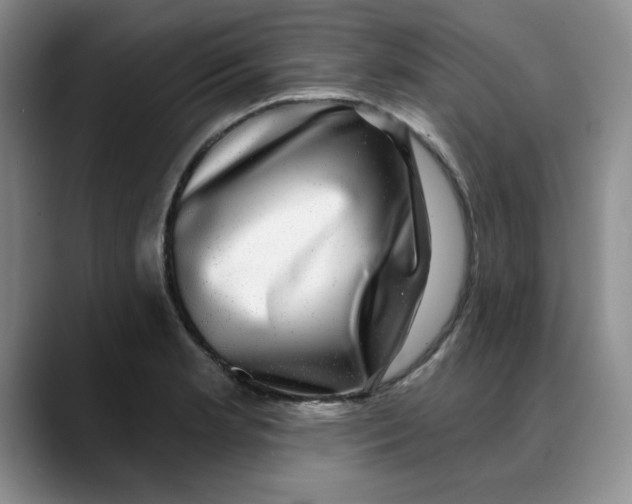 X0000088431181200706121445