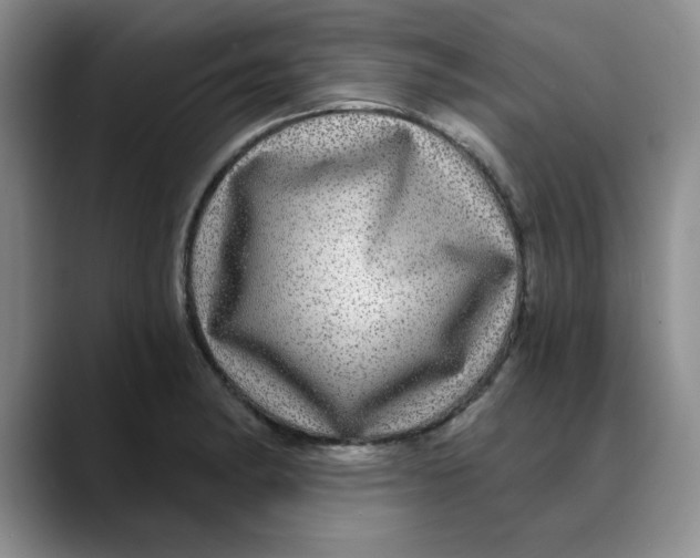 X0000088431182200706121445