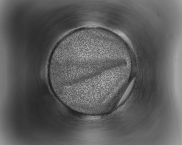 X0000088431183200706121445