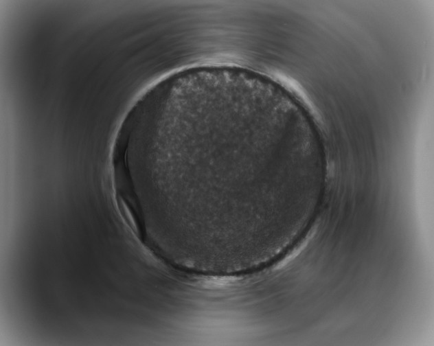 X0000088431184200706121445