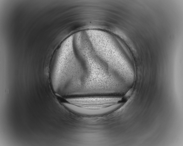 X0000088431185200706121445