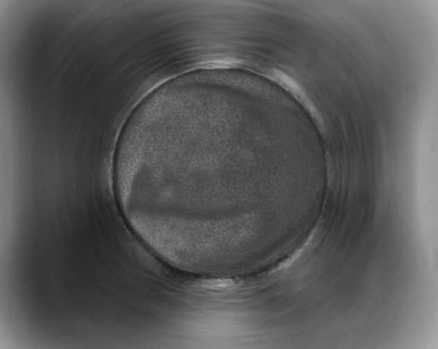 X0000088431186200706121445