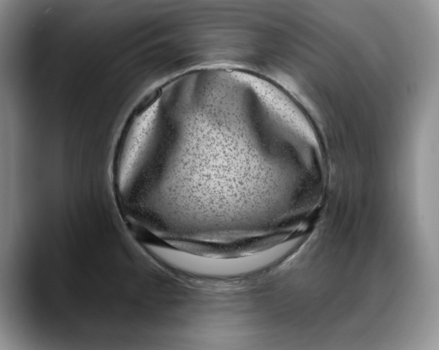 X0000088431189200706121445