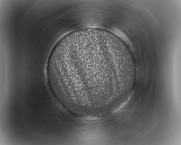 X0000088431190200706121445