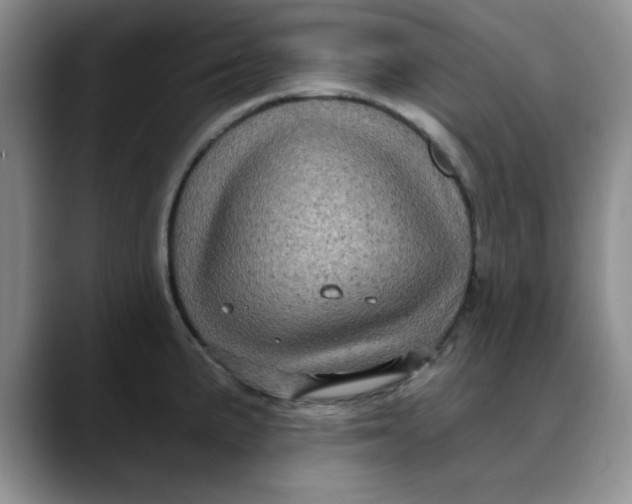 X0000088431191200706121445