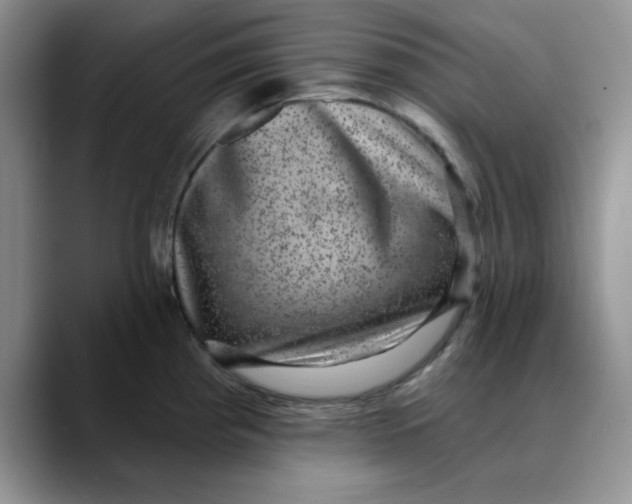 X0000088431193200706121445