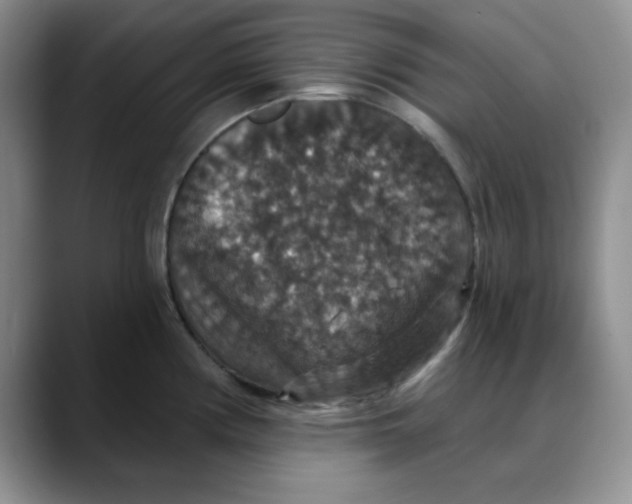 X0000088431194200706121445