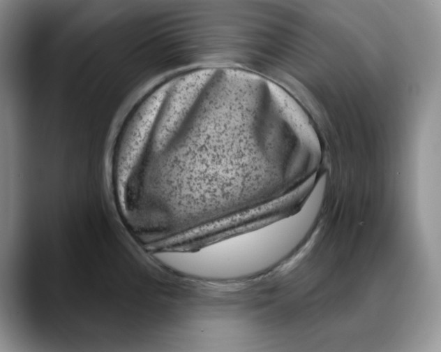 X0000088431196200706121445