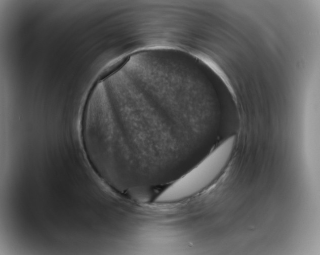 X0000088431197200706121445