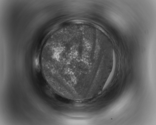 X0000088431198200706121445