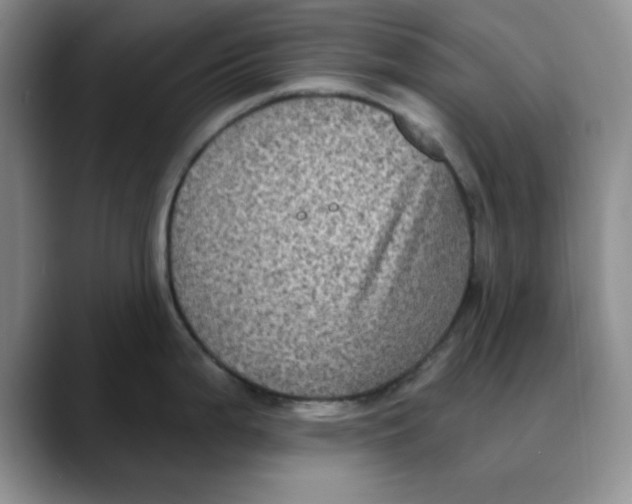 X0000088431199200706121445