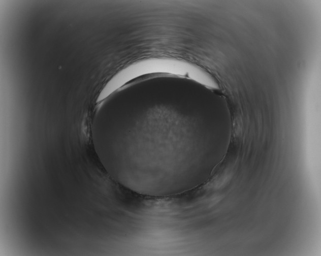 X0000088431202200706121444