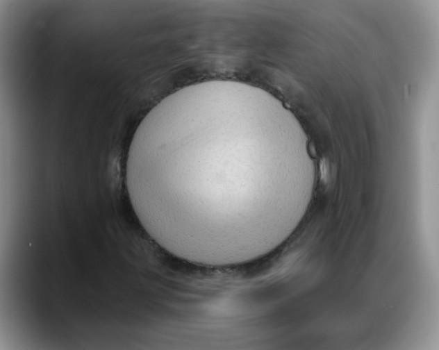 X0000088431203200706121444