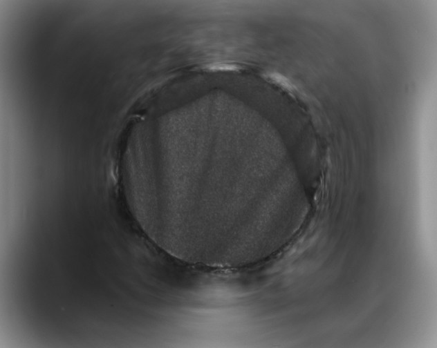 X0000088431206200706121444