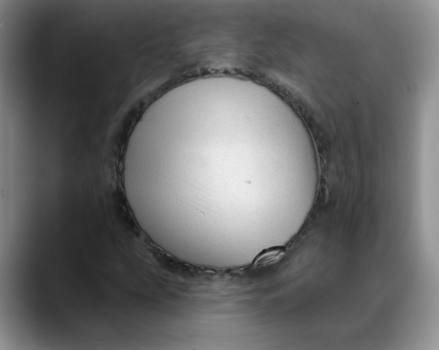 X0000088431207200706121444