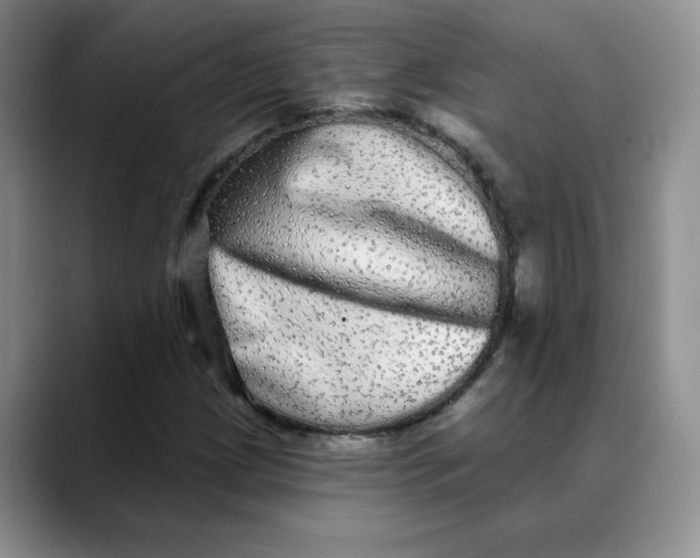 X0000088431209200706121444