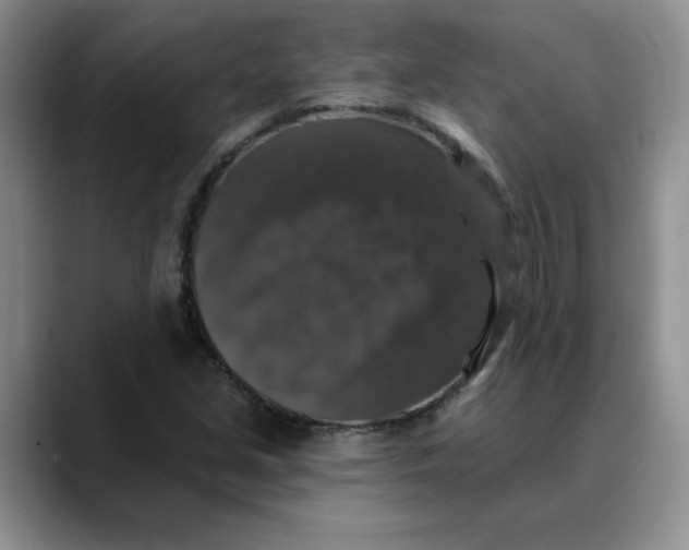 X0000088431213200706121444