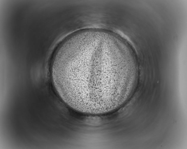 X0000088431215200706121444