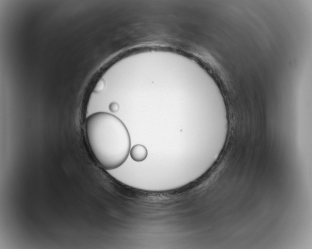 X0000088431216200706121444