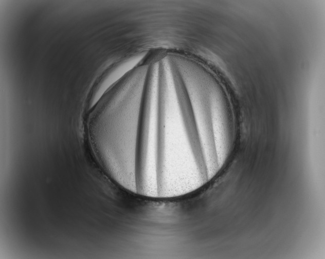 X0000088431218200706121444