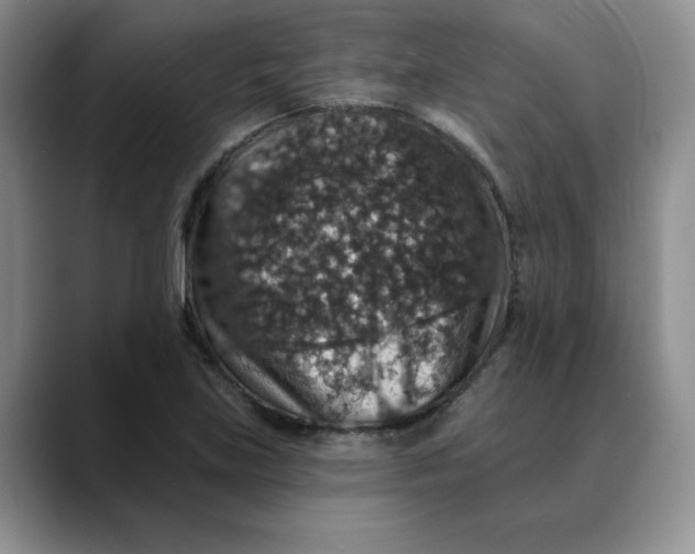 X0000088431219200706121444